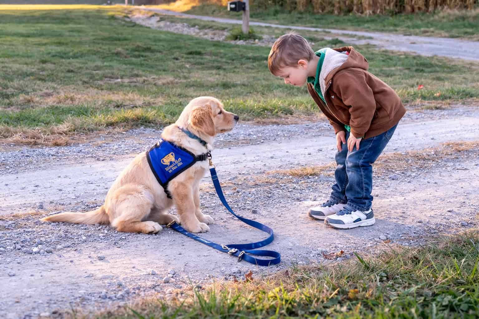 Some people talk to their dog like a best friend. Do you?