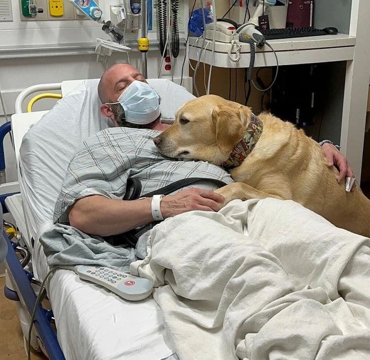 Do you believe a dog can sense when someone in the house is about to die?